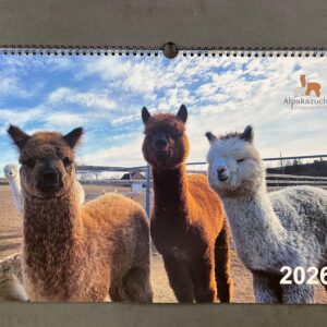 Wandkalender A3 2026